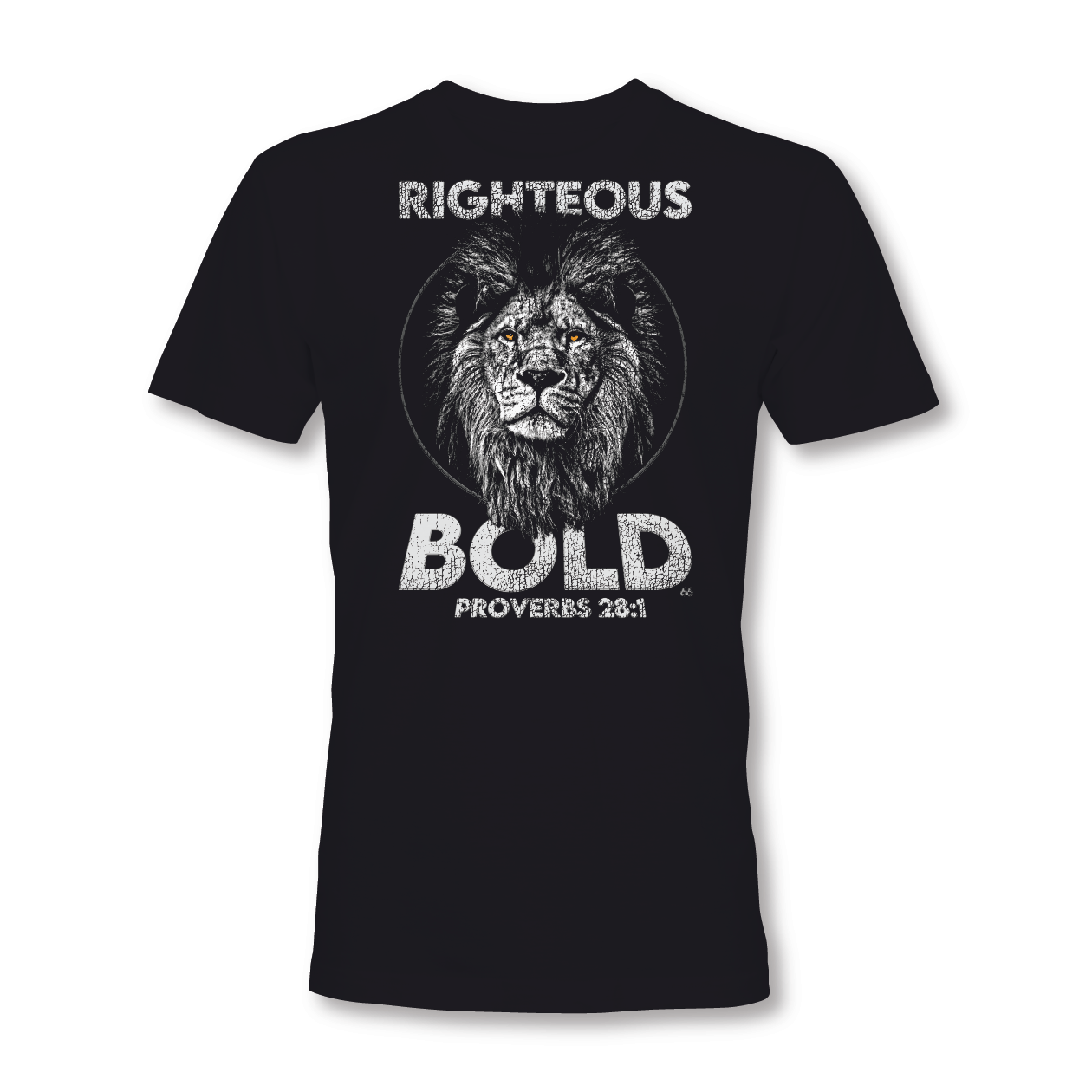 BOLD AS LIONS PROVERBS 28:1 CHRISTIAN T-SHIRT