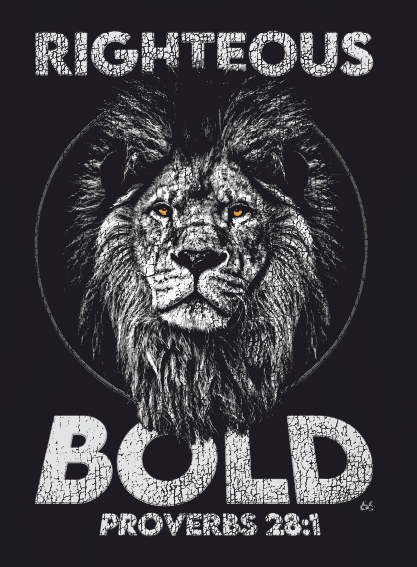 BOLD AS LIONS PROVERBS 28:1 CHRISTIAN T-SHIRT